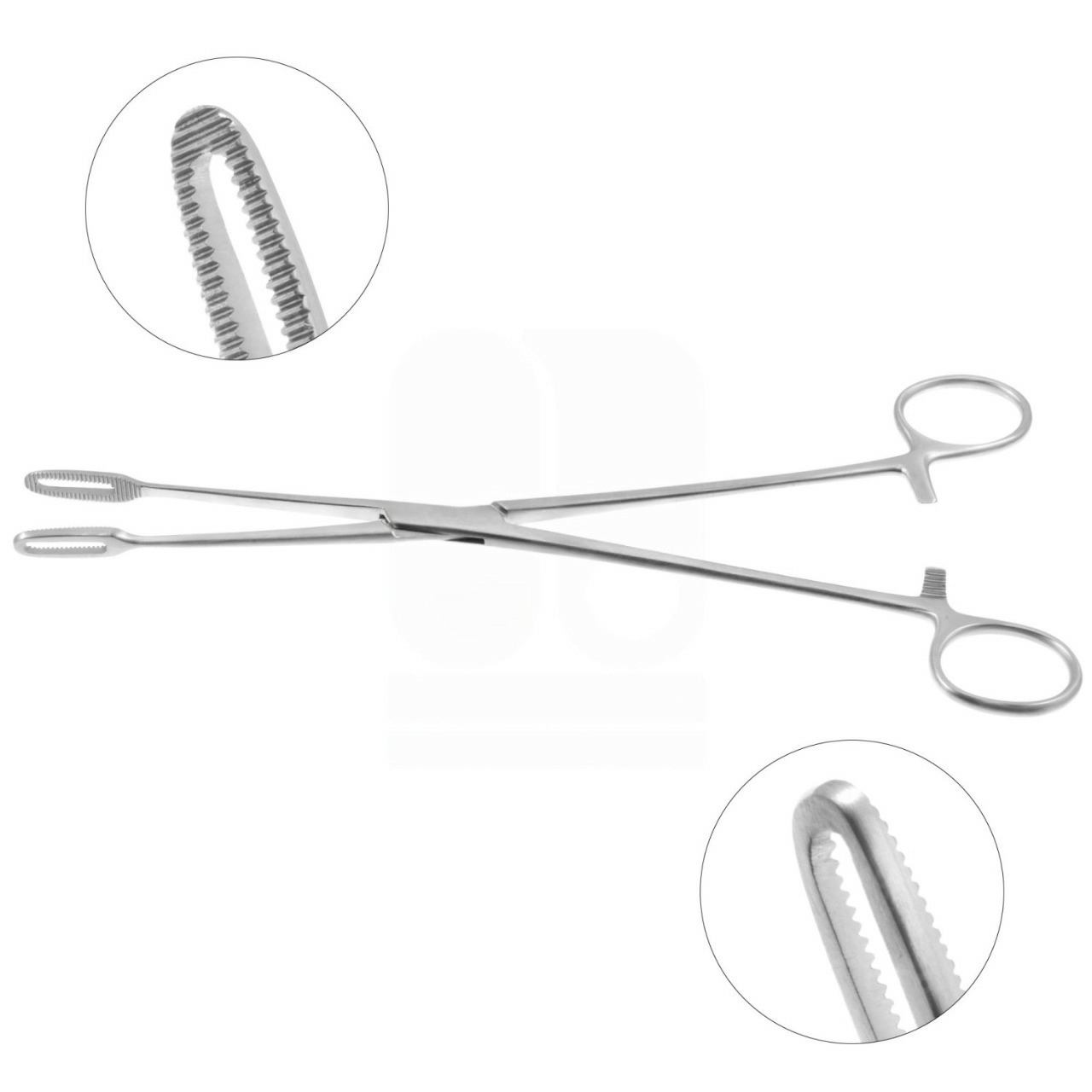 Fletcher (Javerts) Sponge Forceps, 9-1/2"