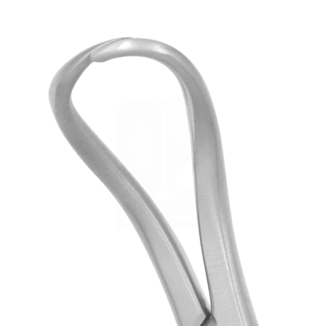 Backhaus Towel Clamps Forceps