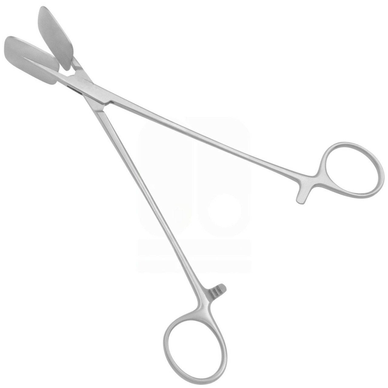 Sheehy Fascia Press 19cm - Stainless Steel