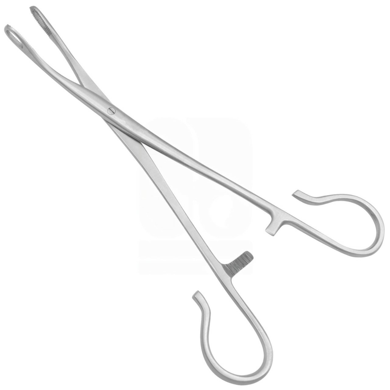Blohmke Tonsil Grasping Forcep 1 x 2 Teeth 20 cm