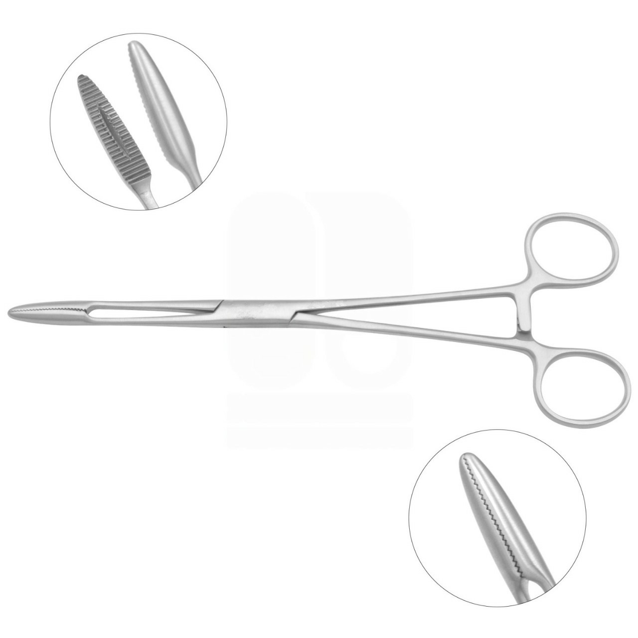 Gross Dressing Forceps, 8", Fenestrated Serrated Jaws