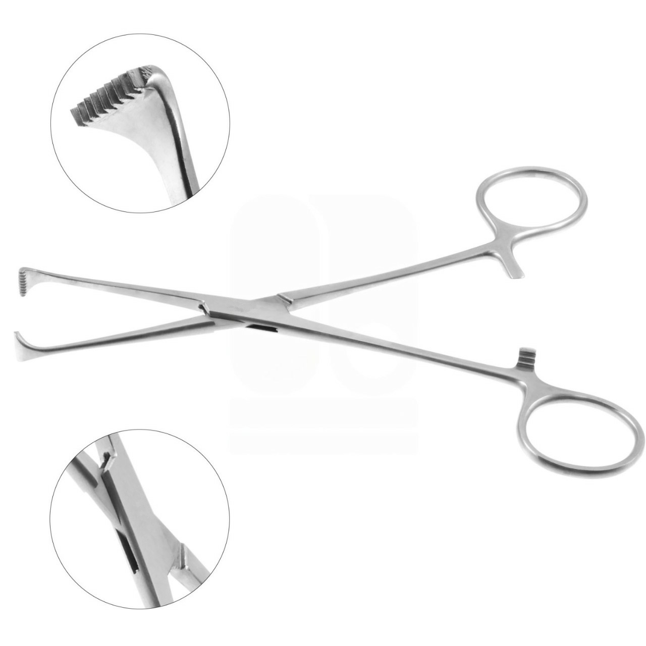 Allis Tissue Forceps, Standard Pattern, Toothed Jaws