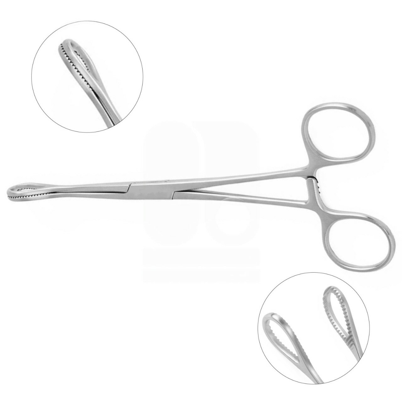 Foerster (Ballenger) Sponge Forceps