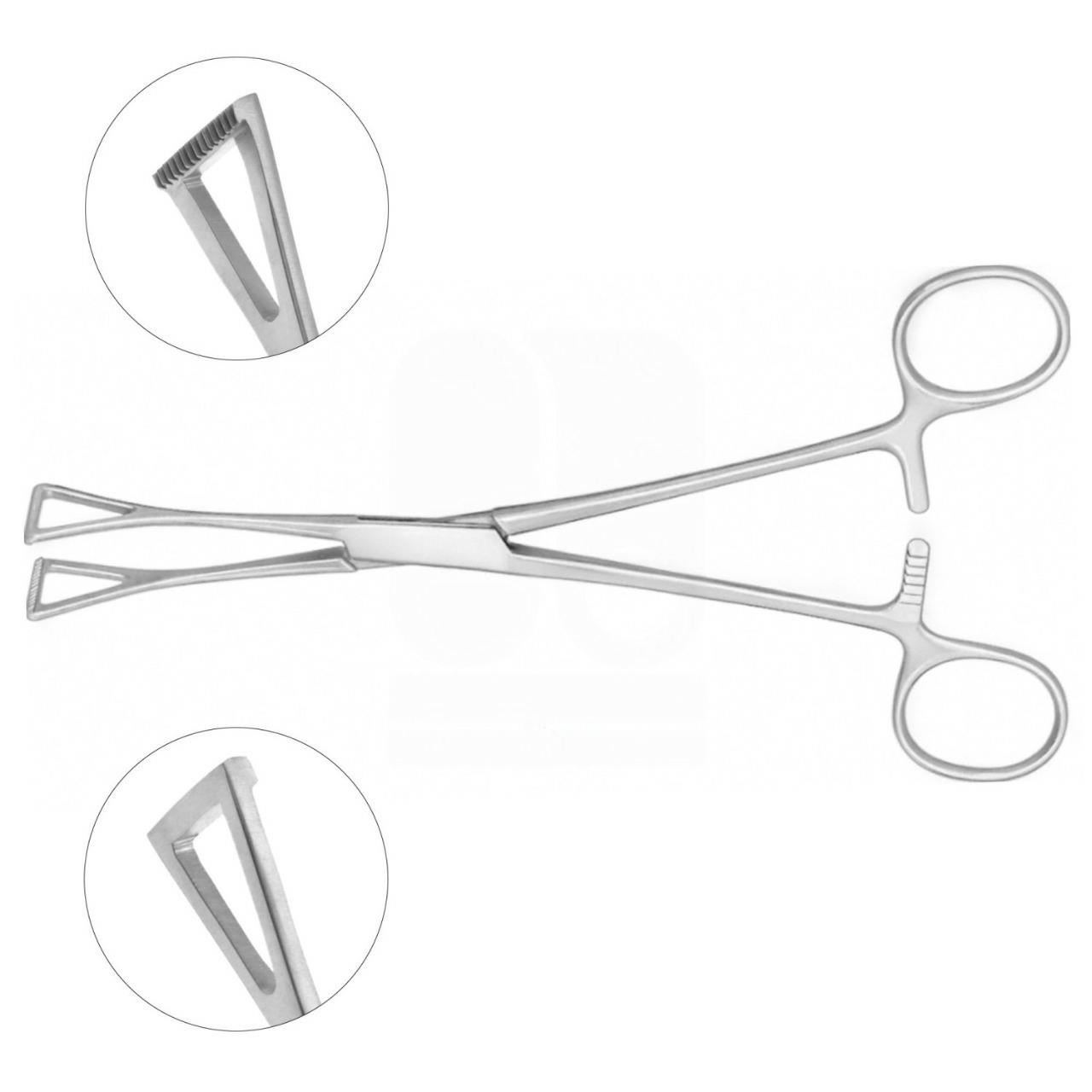 Duval-Collins Tissue Grasping Forceps, Serrated Tips
