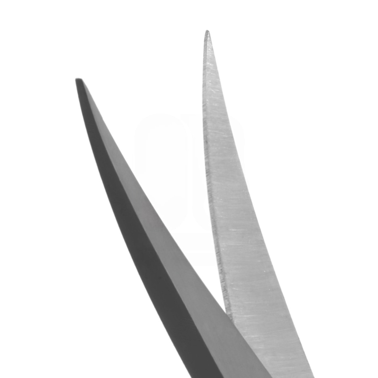 Kelly Dissecting Scissors 16 cm - Curved, Serrated, TC
