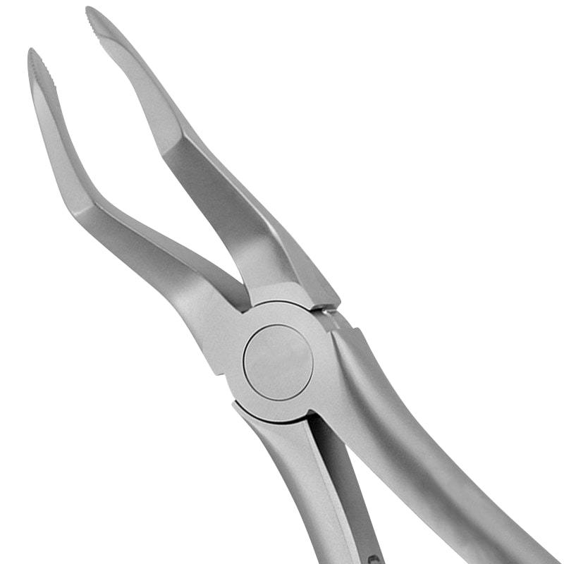 51 Upper Roots Serrated Forceps - Atraumair