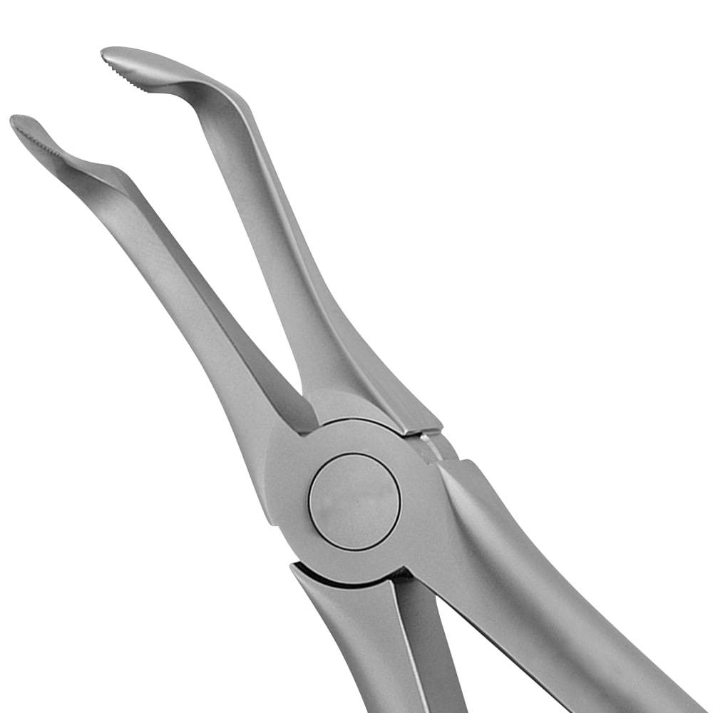 45 Lower Roots Serrated Forceps - Atraumair