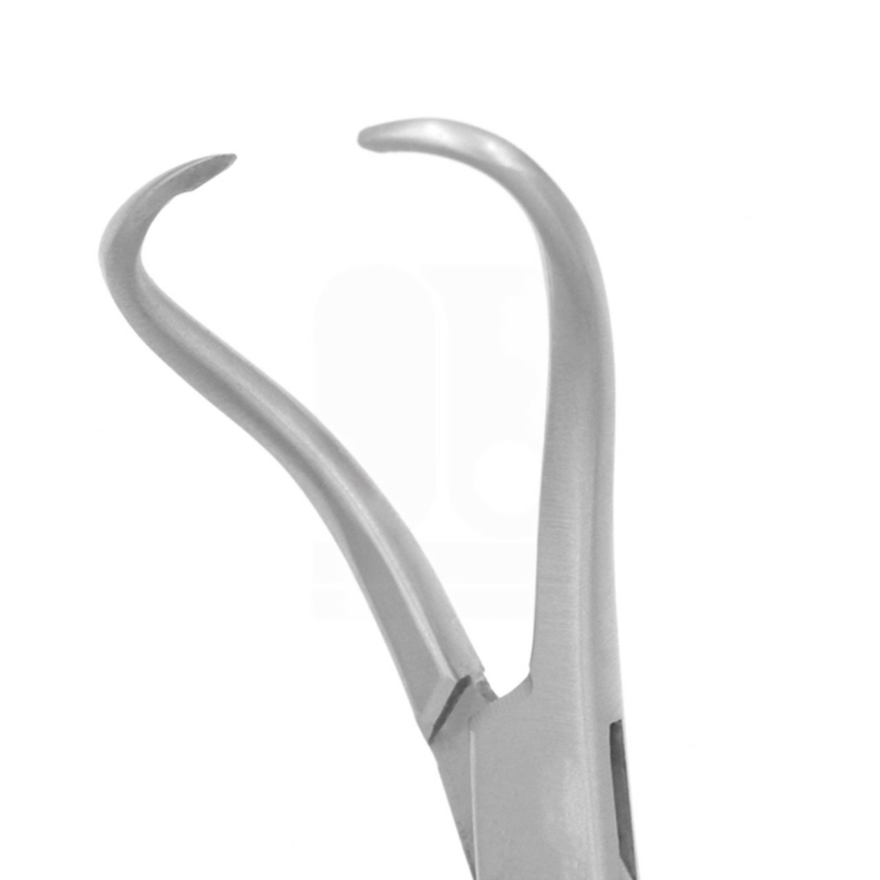 Backhaus Towel Clamps Forceps