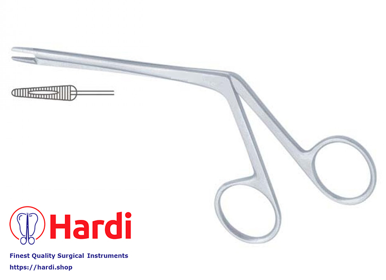 Littauer Ear Polypus Forcep, 10 cm (4”) Stainless Steel