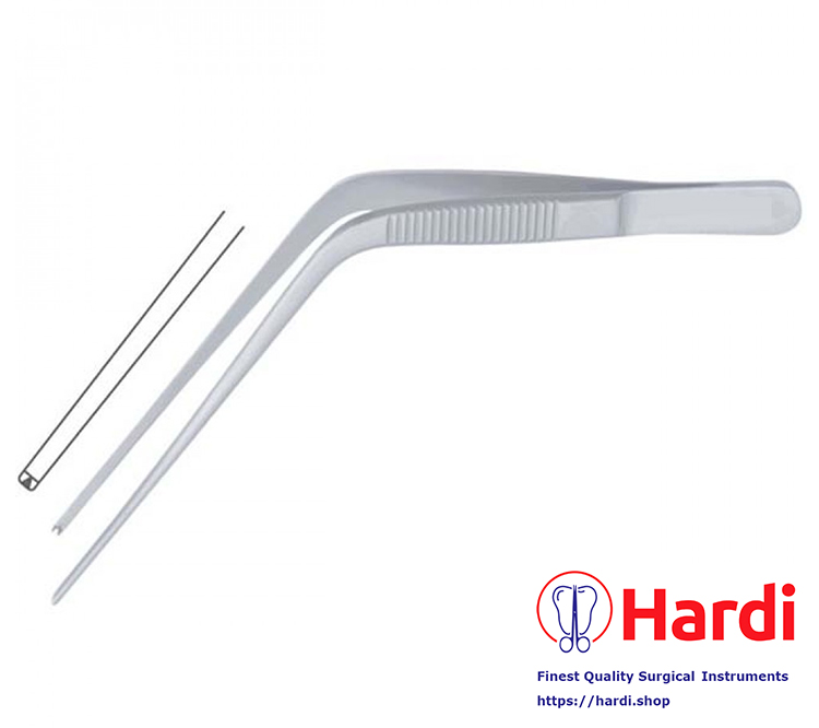 Troeltsch (Wilde) Ear Forceps 1x2 Teeth, 11 cm (4 ¾”)
