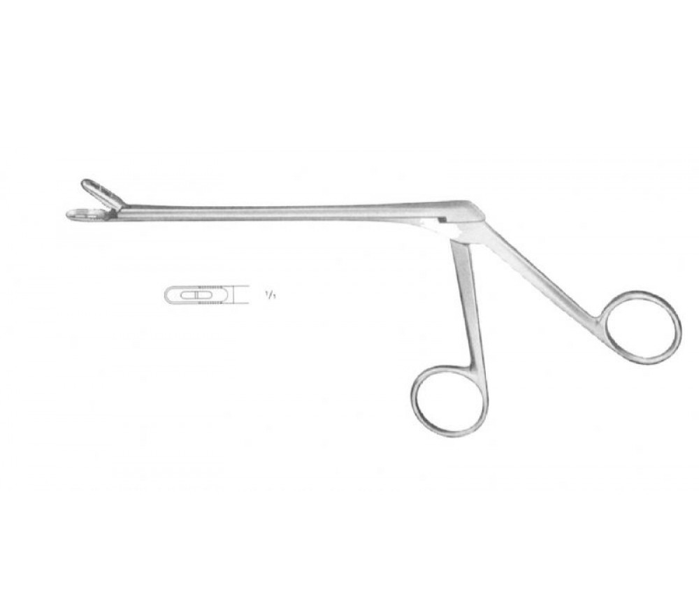 Caspar Straight Bone Rongeur for Neurosurgery & Orthopedic (2mm Jaw, 6 Inches)