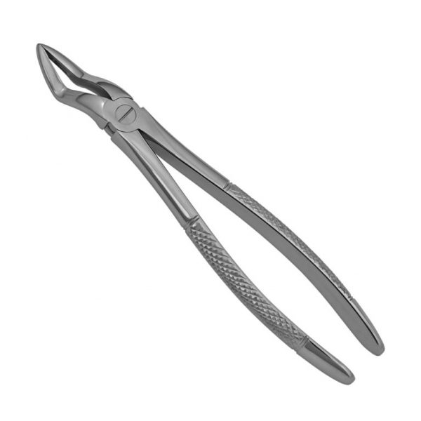 51 Extraction Forceps - English Pattern