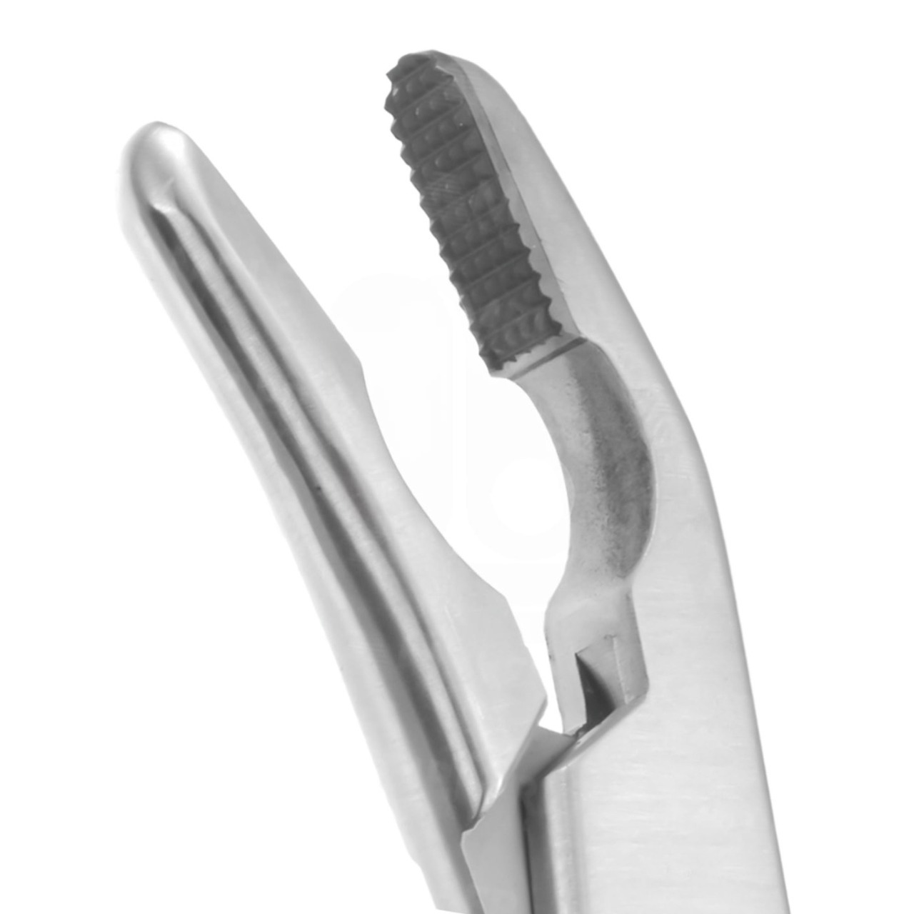 Gunter Lower Lateral Morselizer, 7" (18cm), Dual Jaw Surfaces