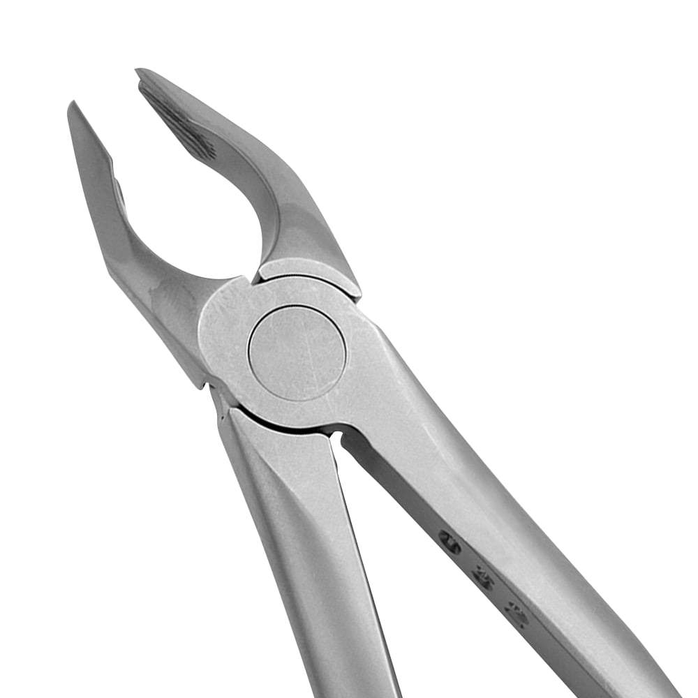 35 Apical Upper Canines & Premolars Forceps - Atraumair