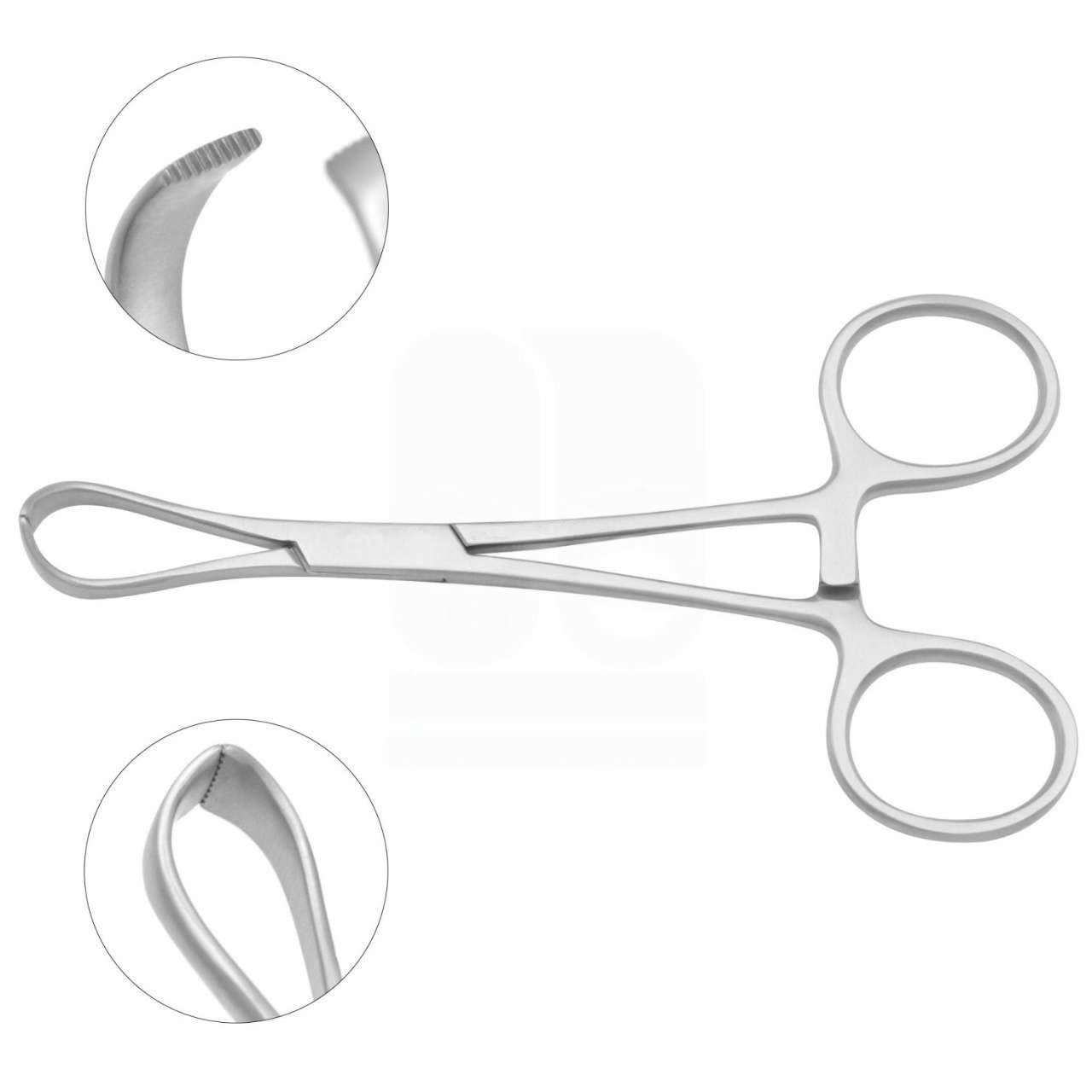 Lorna (Edna) Towel Forceps - With Non-Perforating Teeth