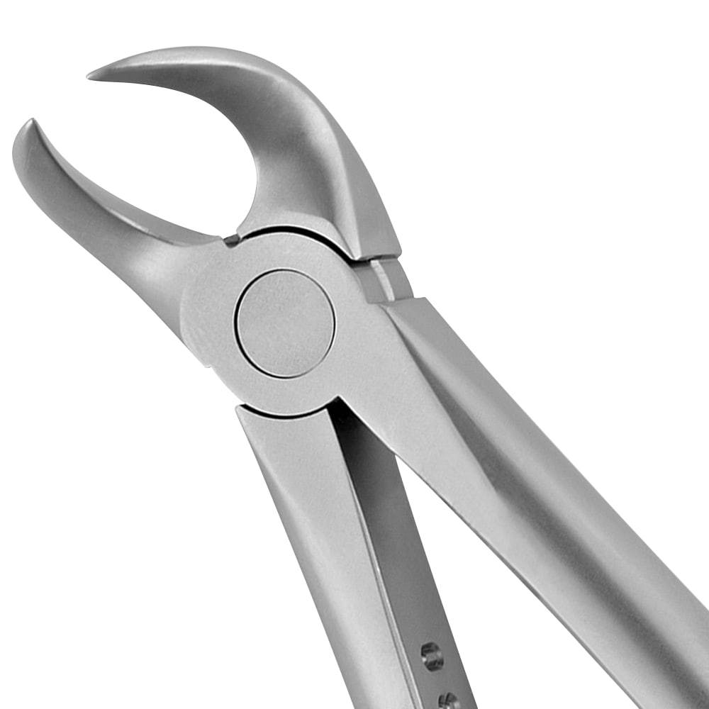 23 Cowhorn Lower Molars Forceps - Atraumair