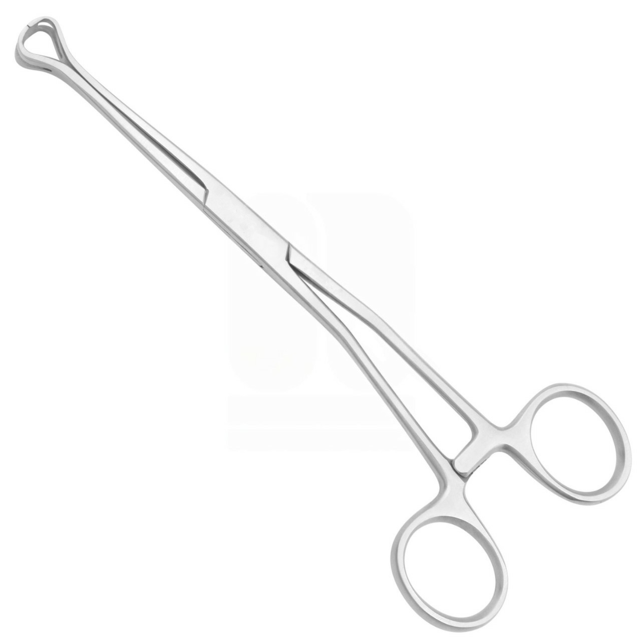 Allis Babcock Tissue Forceps, Angled, 6-1/4"