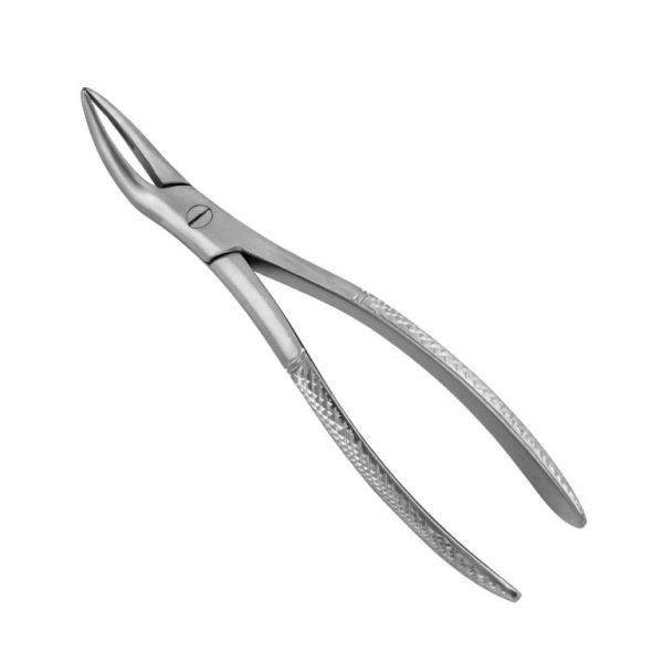 81 Extraction Forceps - English Pattern
