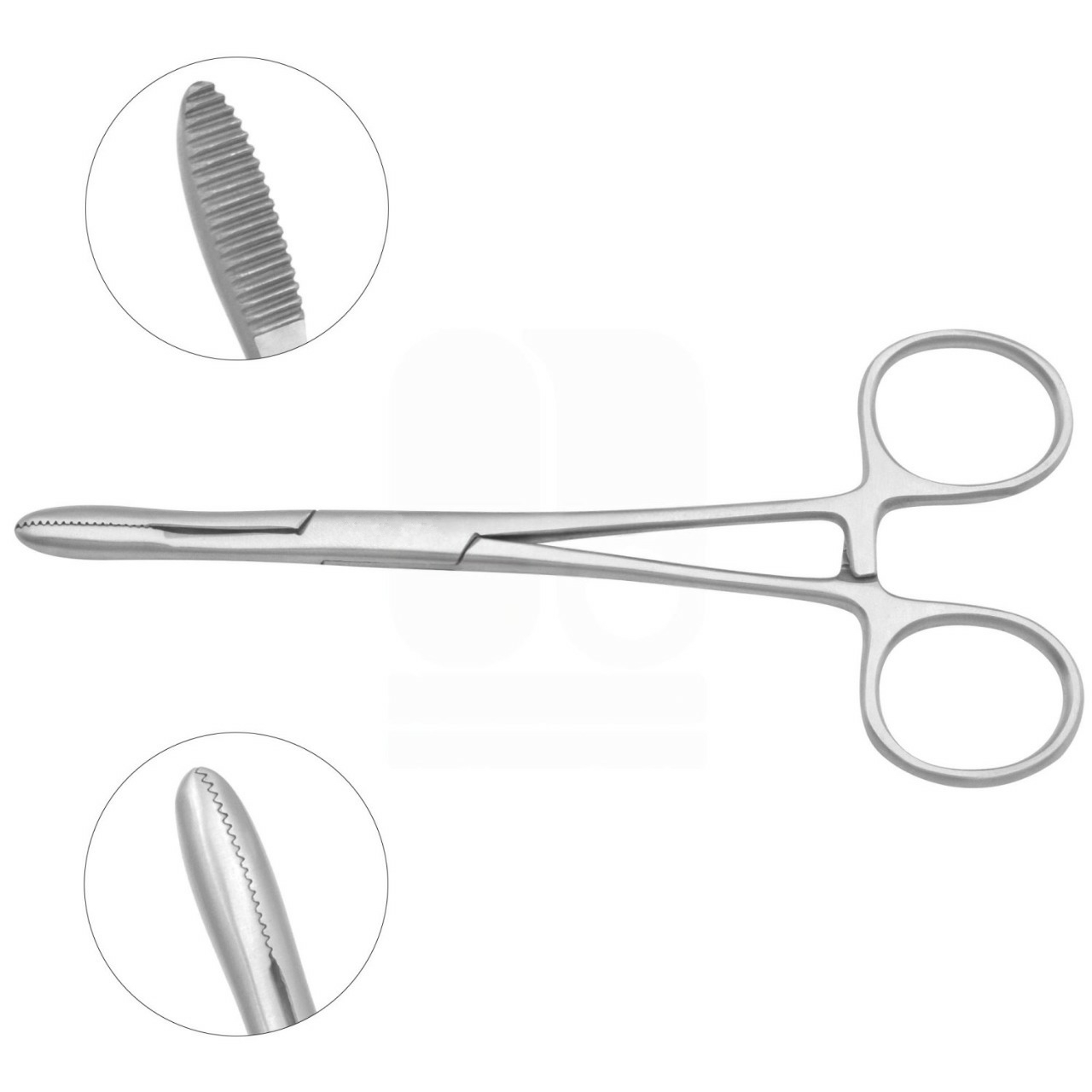 Gross Maier Dressing Forceps, Serrated Jaws