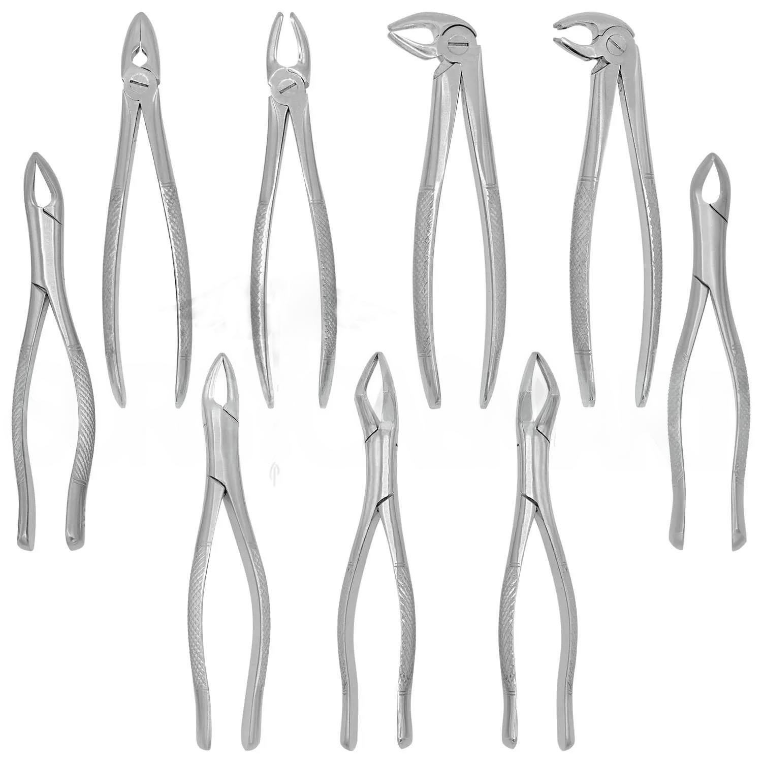 Dental Oral Surgery Instruments Kit of 75 Pcs
