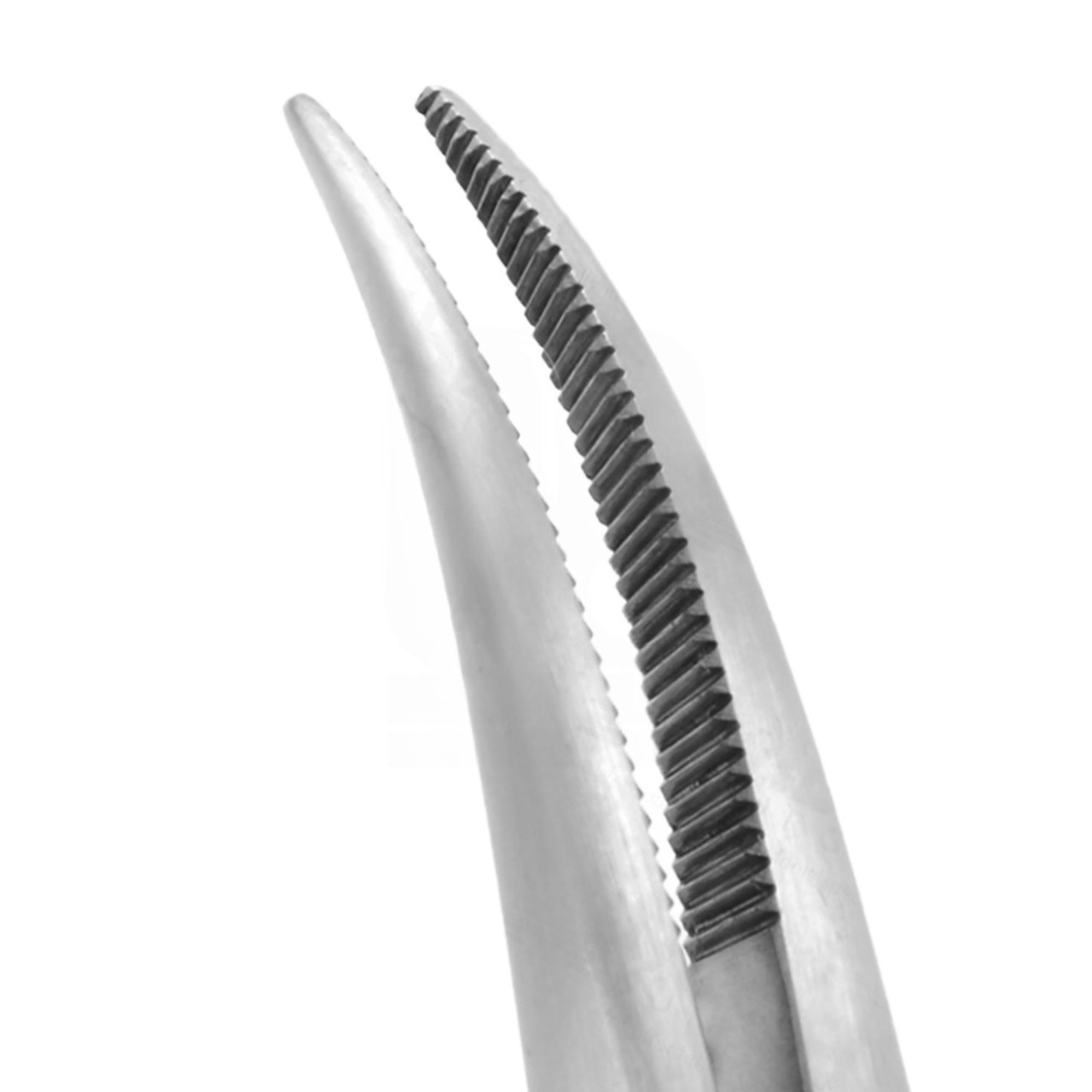 Mosquito Forceps - Stainless Steel