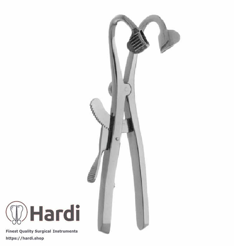 Denhart Mouth Gag - delicate catch, 12.5cm, Stainless Steel