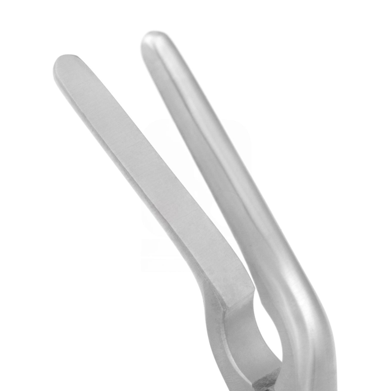 Asch Septum Straightening Forceps 22.9cm - Angled Blades