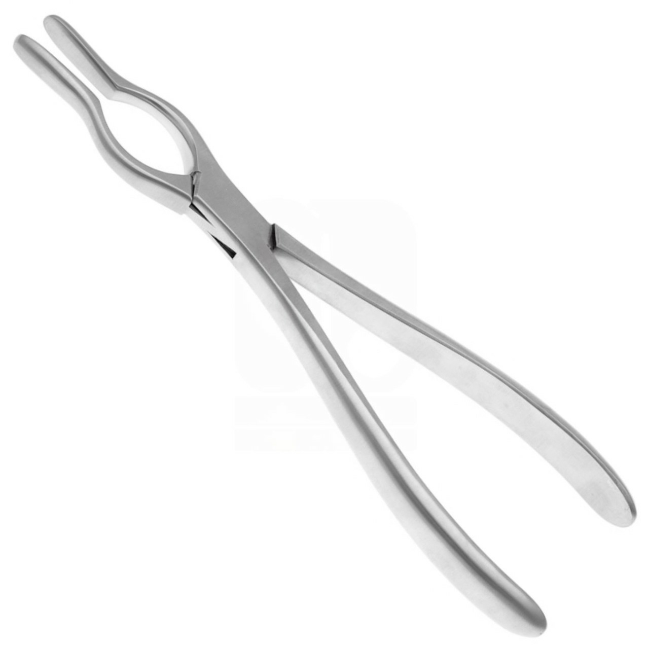 Walsham Septum Straightening Forceps 9"