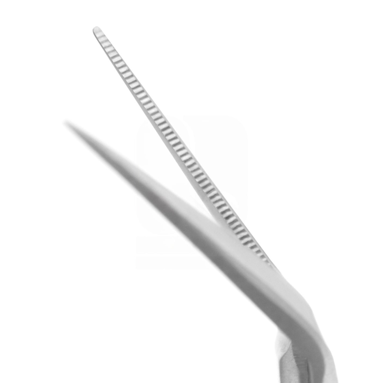 Converse Nasal Scissors - Angled Up (10cm)