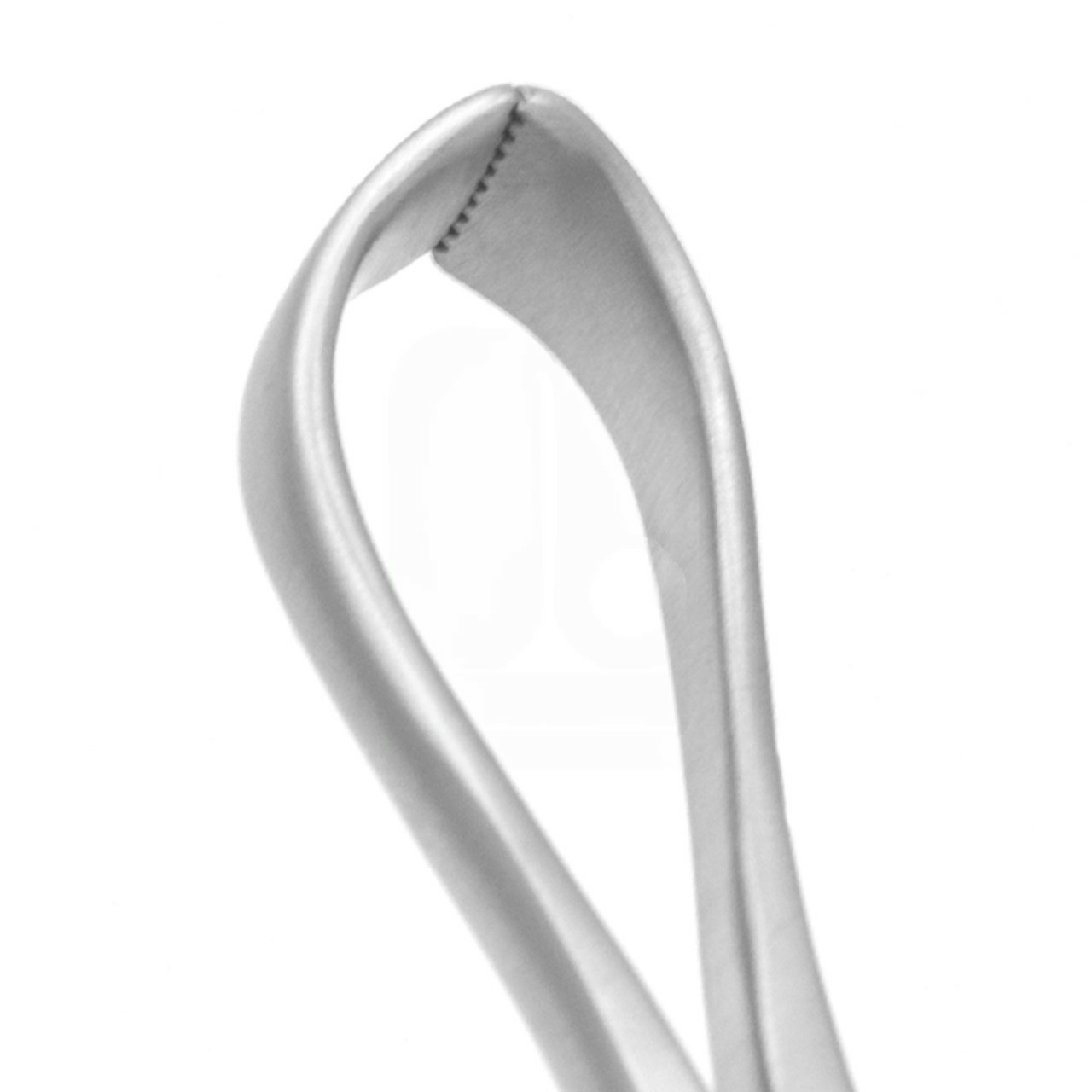 Lorna (Edna) Towel Forceps - With Non-Perforating Teeth