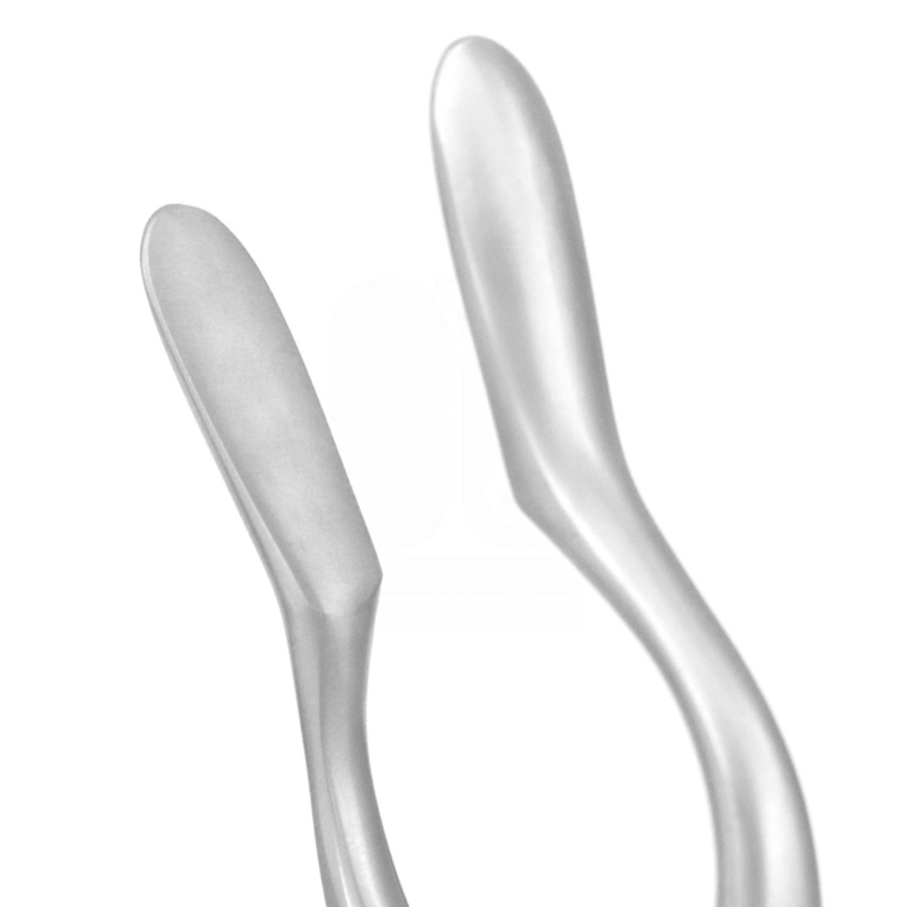 Cottle-Walsham Septum Forceps 9" - Straight 30mm x 7mm Jaw
