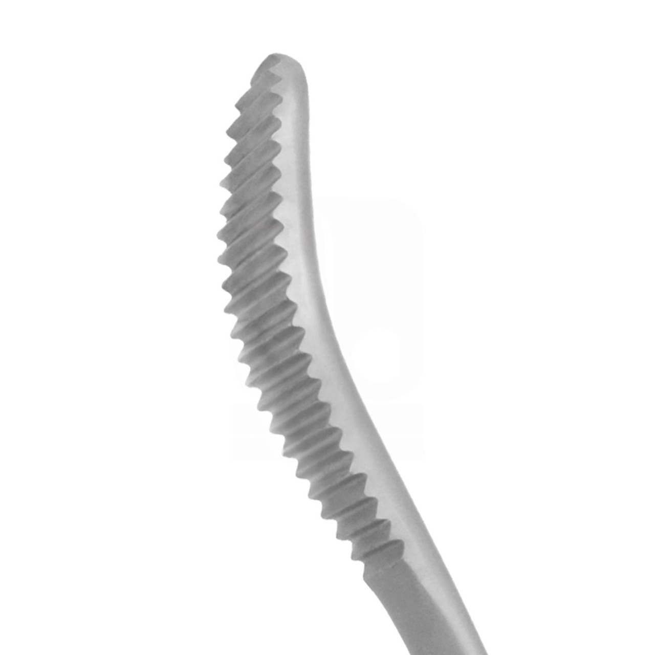 Aufricht Nasal Rasp 21cm - Curved