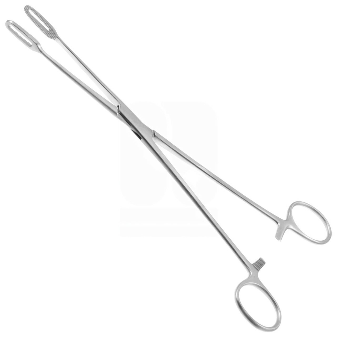 Fletcher (Javerts) Sponge Forceps, 9-1/2"
