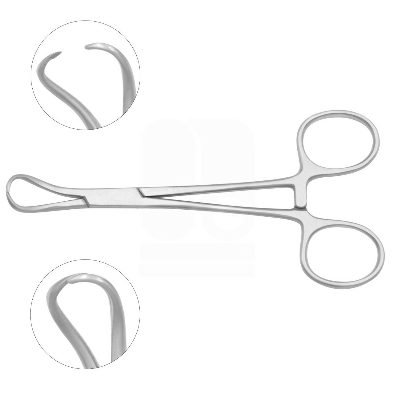 Backhaus Towel Clamps Forceps