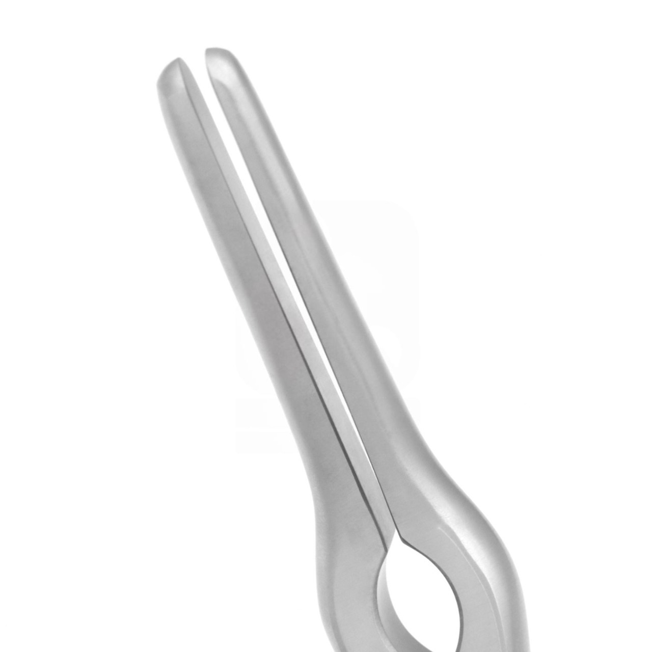 Asch Septum Straightening Forceps 22.9cm - Angled Blades
