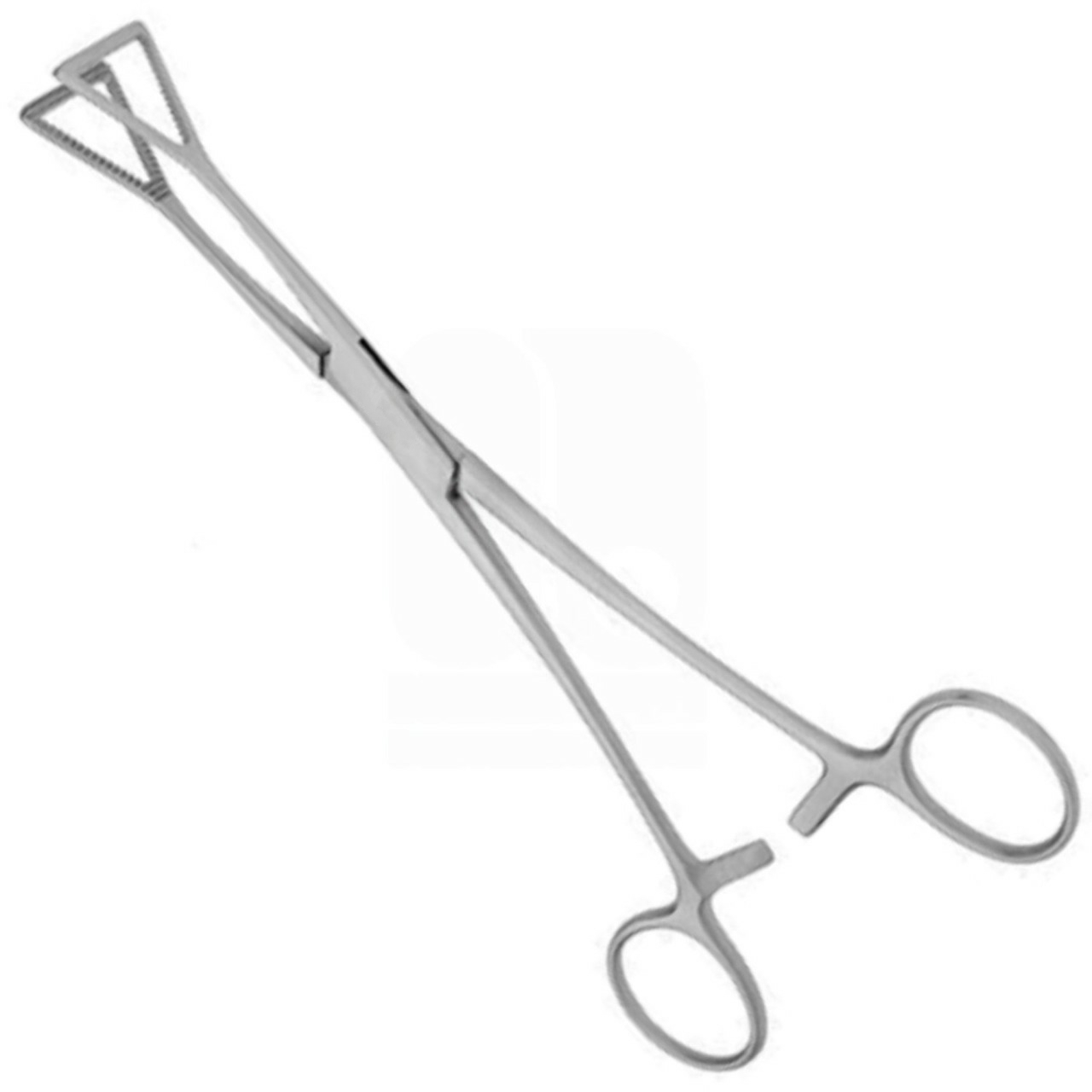 Lovelace Lung Grasping Forceps 19cm - Triangular-Shaped Jaws