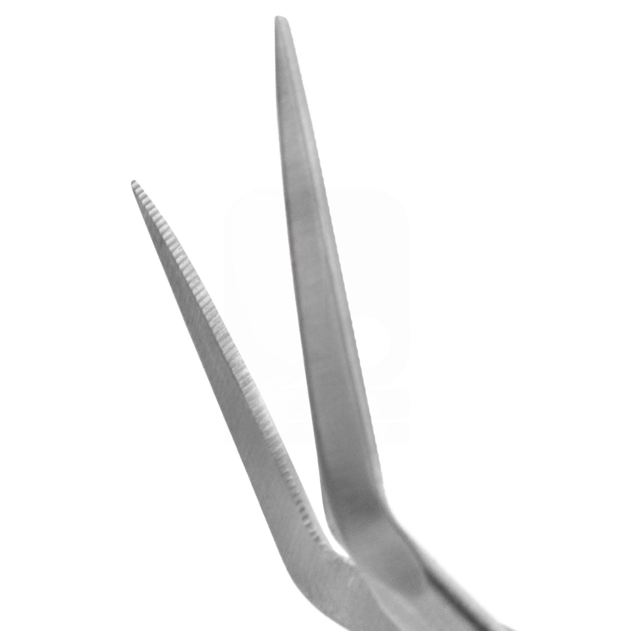 Gunter Nasal Double-Beveled Scissors 11.5 cm - Angled , Serrated