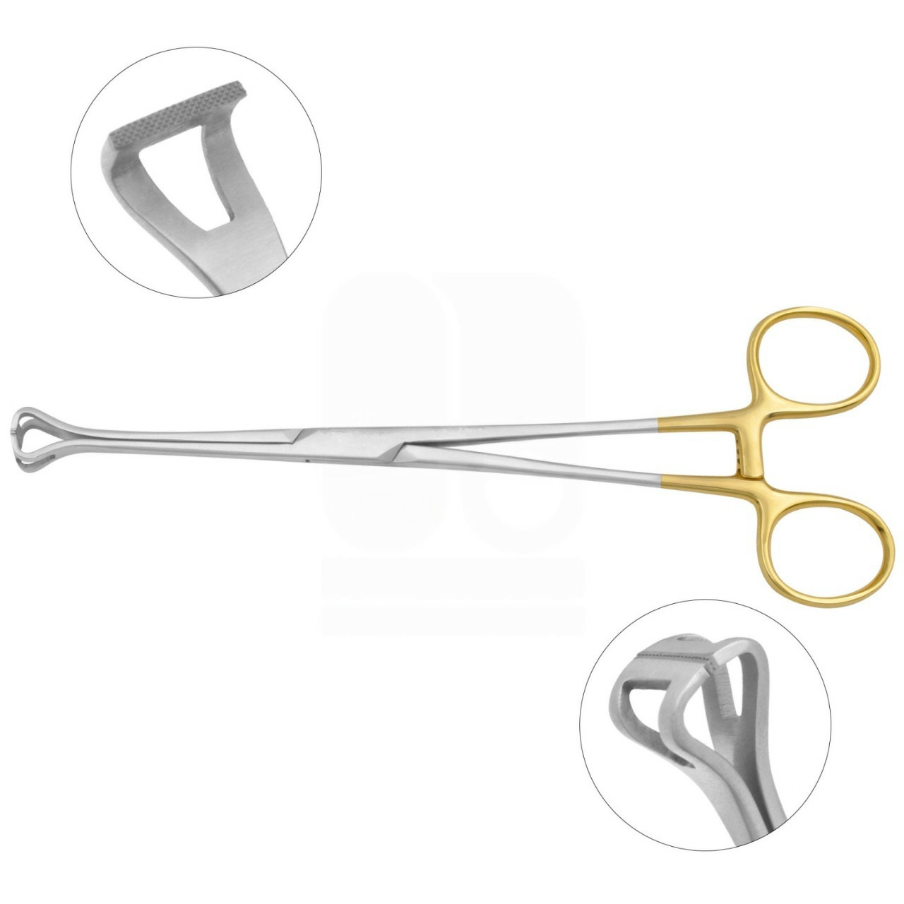 Babcock Tissue Forceps, TC Serrated Jaws