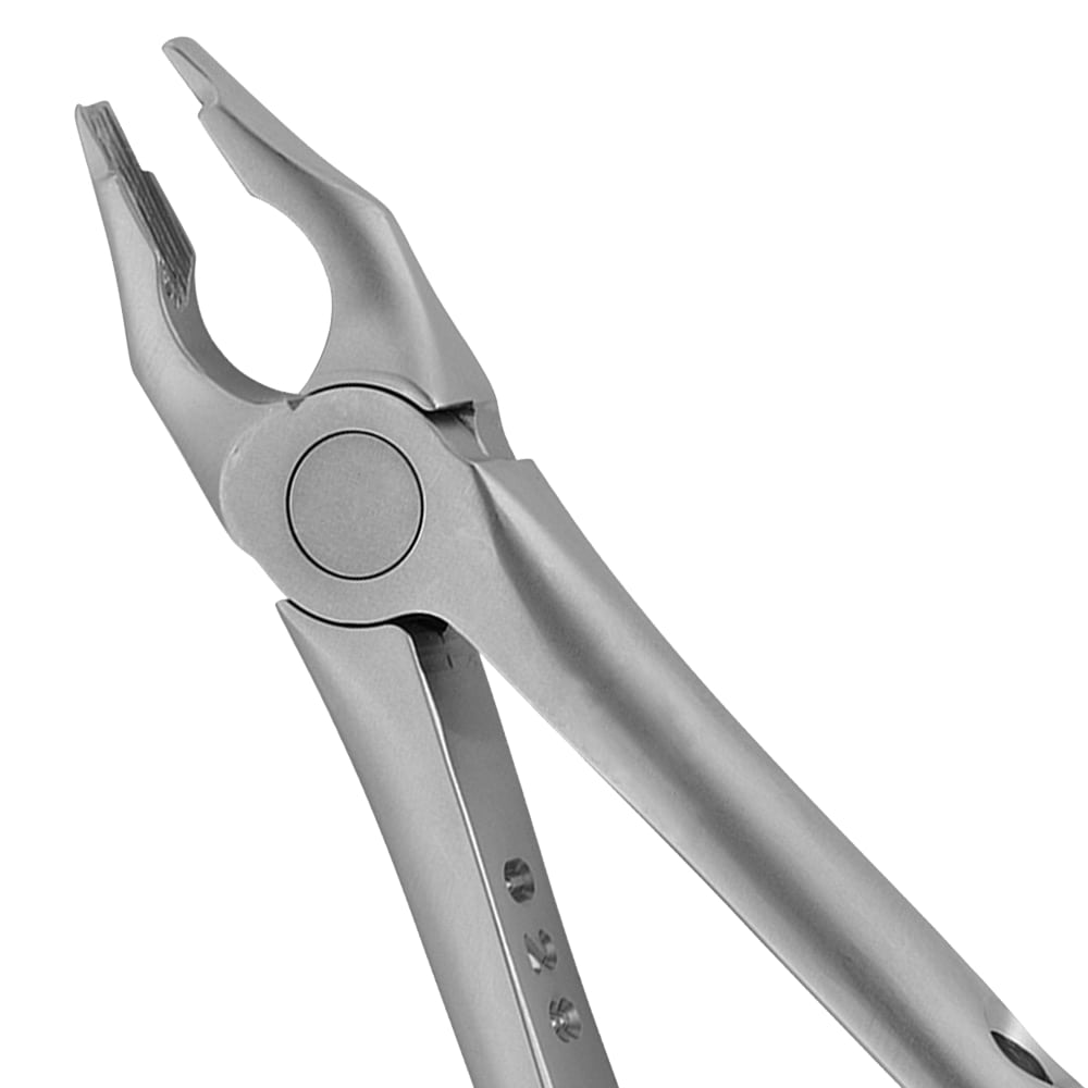 1 Standard Upper Incisors Forceps - Atraumair