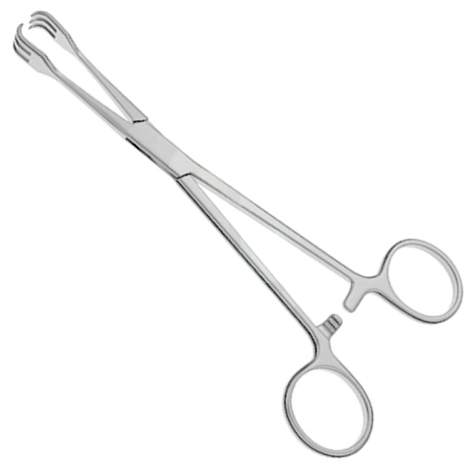 Lahey goiter traction clamp, Stainless Steel