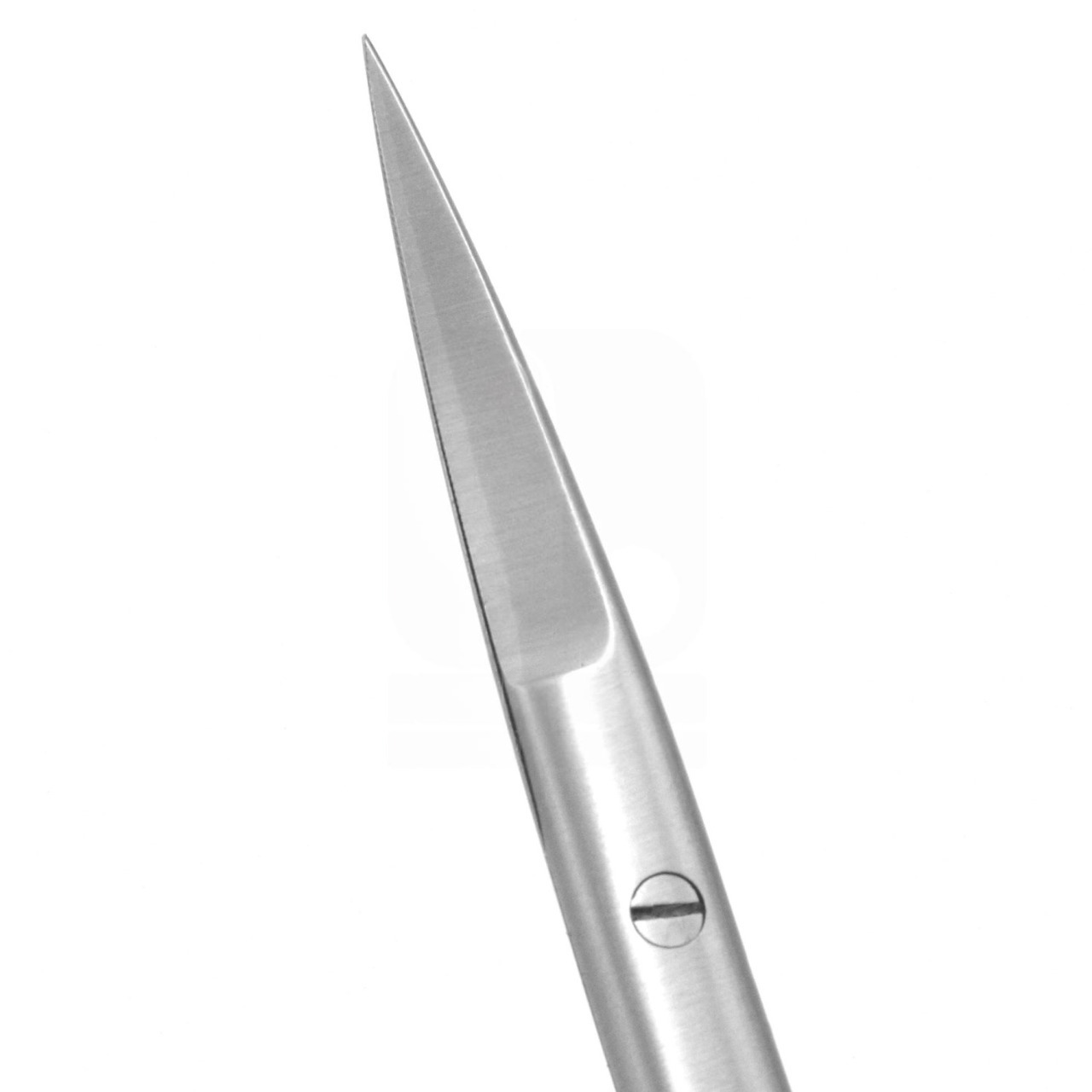 Aufricht Fine Scissors Straight Serrated Tungsten Carbide