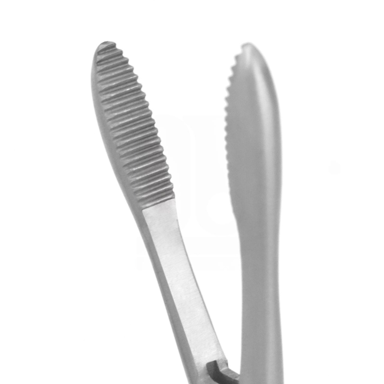 Gross Maier Dressing Forceps, Serrated Jaws