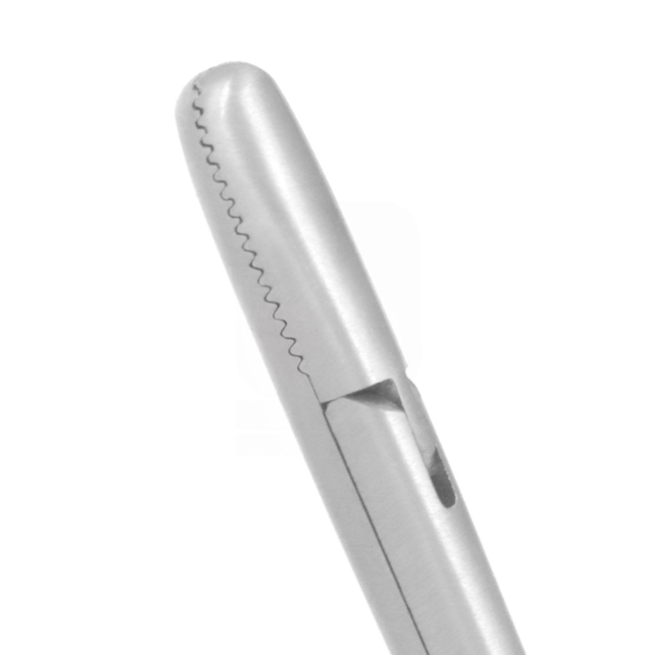 Blakesley Septum Forceps 19cm - Serrated Jaw 6mm x 12mm