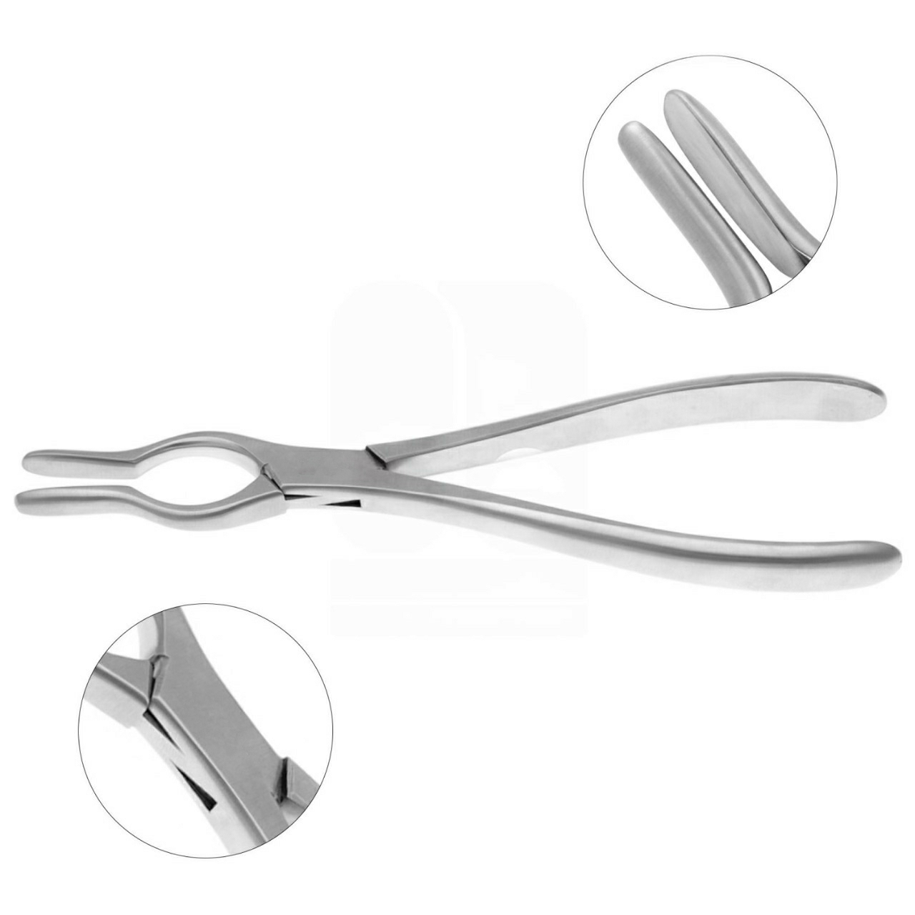 Walsham Septum Straightening Forceps 9"