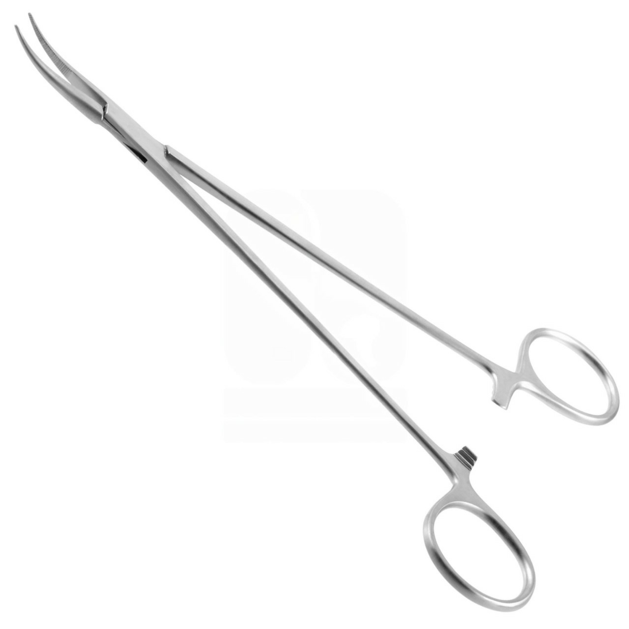 Mosquito Forceps - Stainless Steel