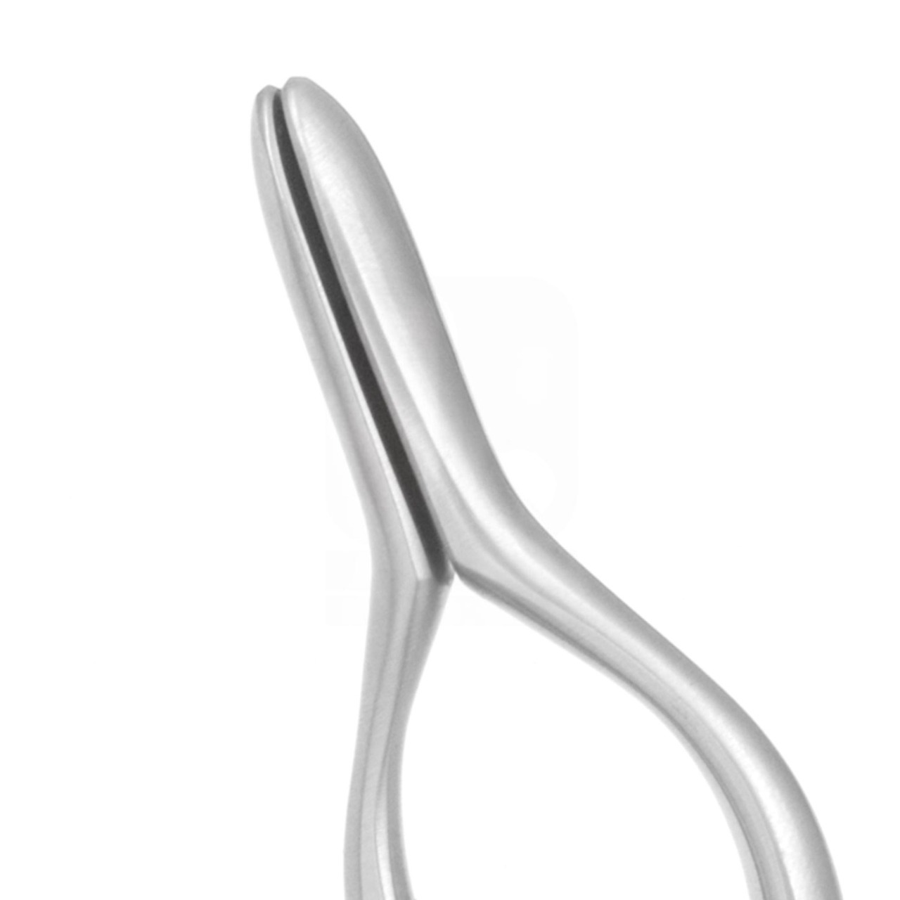 Cottle-Walsham Septum Forceps 9" - Straight 30mm x 7mm Jaw