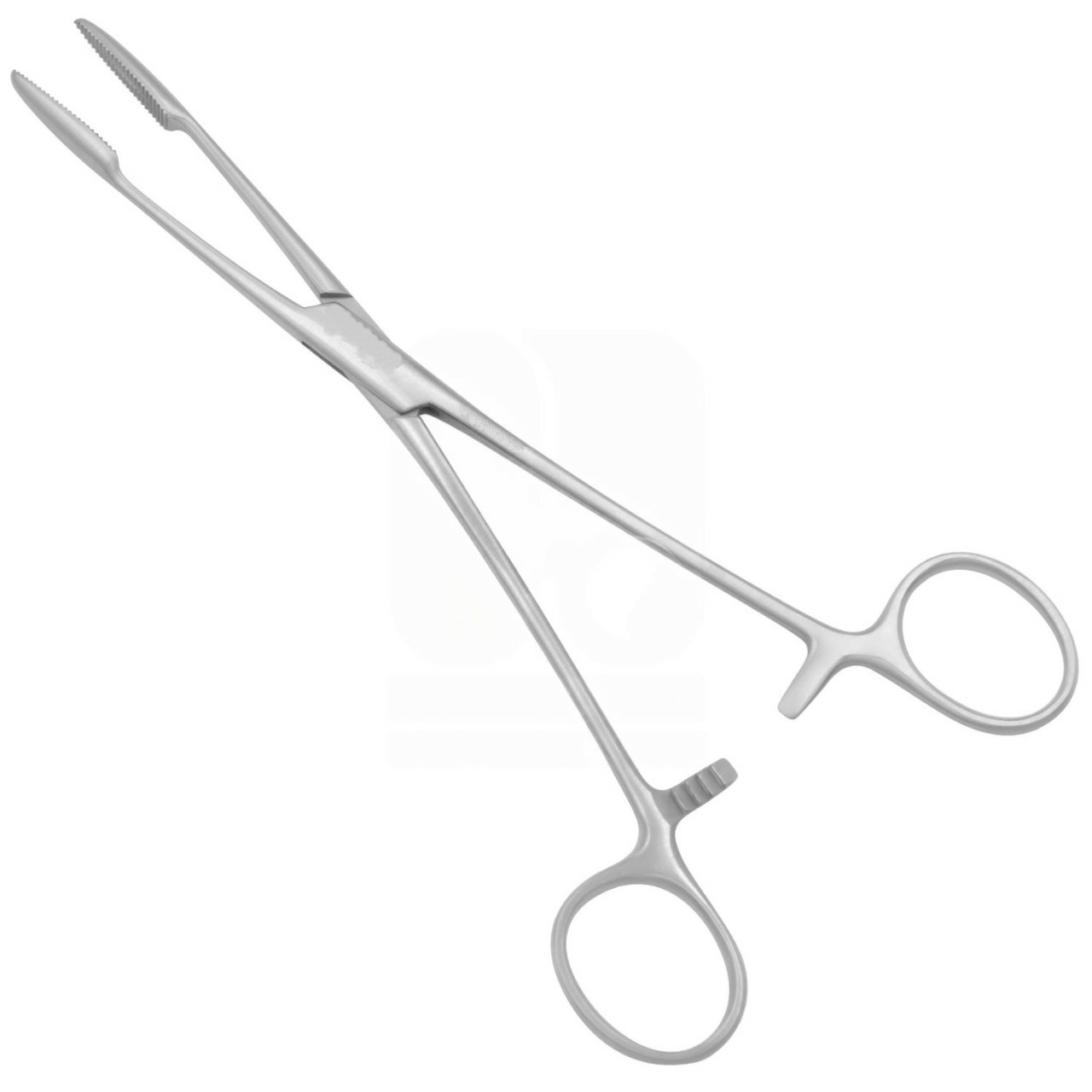 Gross Dressing Forceps, 8", Fenestrated Serrated Jaws