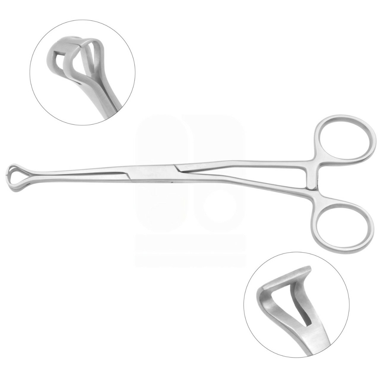Allis Babcock Tissue Forceps, Angled, 6-1/4"