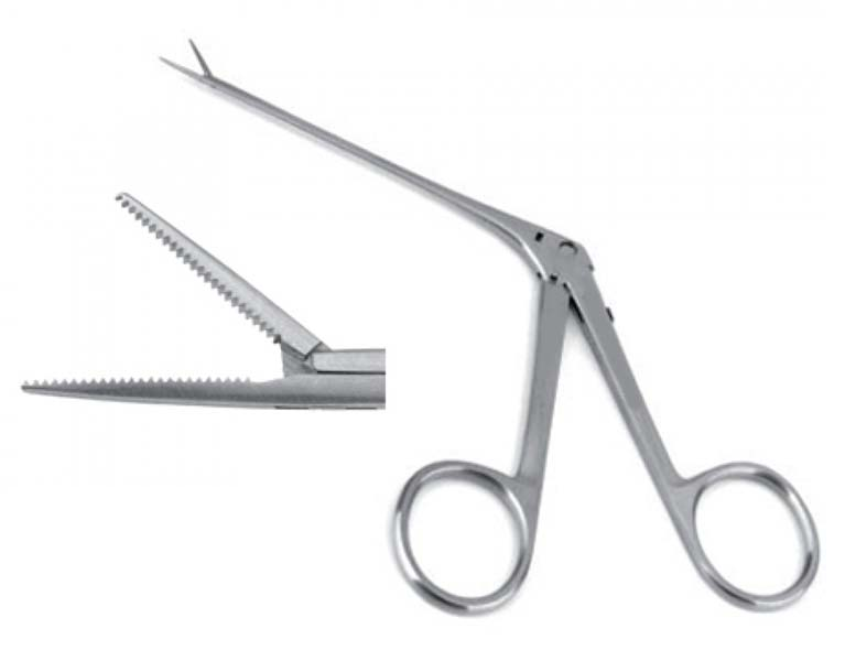 Goodhill Ear Alligator Forceps, Straight, delicate 6mm serrated jaws, 135mm