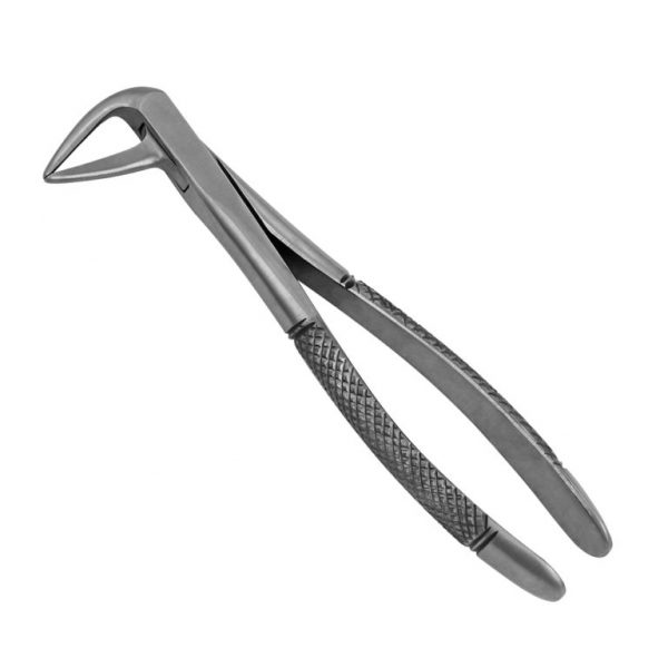 233 Extraction Forceps , English Pattern